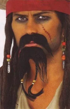Pirate Facial Hair Set