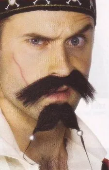 Pirate Tash & Beard Set
