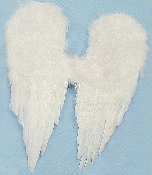 Federflügel