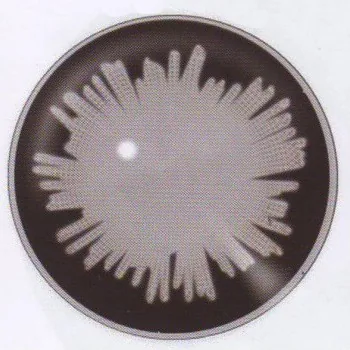 Dolly Eye Grey