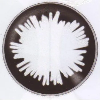 Dolly Eye Black